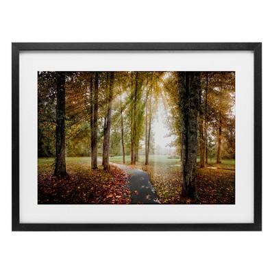 Stupell Industries Follow The Light Forest Path Framed Print Under Glass Art