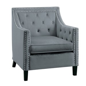 Grazioso Velvet Upholstered Accent Chair in Gray - Lexicon - 1 of 4