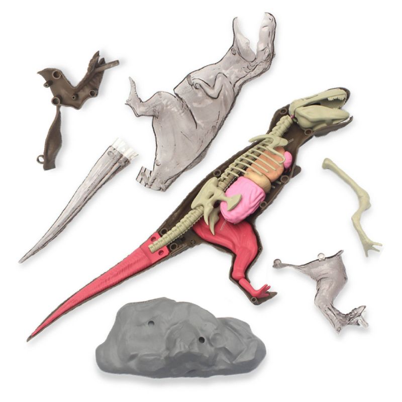 Discovery #Mindblown 4D T-Rex Anatomy Kit Interactive Dinosaur Model, 4 of 11