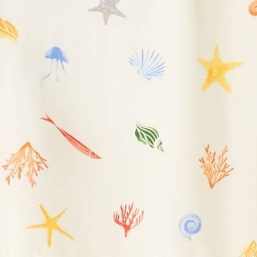 Cream Seashell