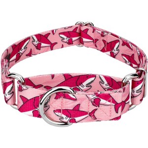 Country Brook Petz Martingale Dog Collar - Critter Corner Collection - 1 of 4