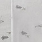 gray skiers
