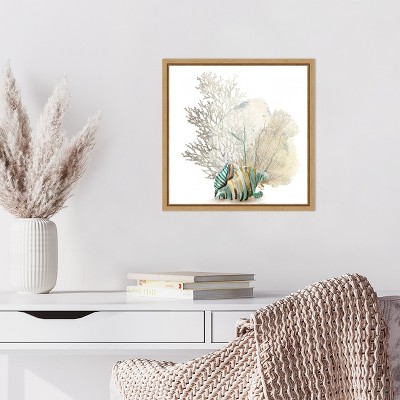 Coral and Conch Shell Canvas Print with Wood Frame