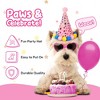 Pacific Pups Products Dog Birthday Party Set - 5 Piece Kit for Birthday Party for Dogs - 3 of 4