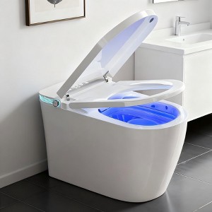 Dyonery smart toilet, built-in bidet, warm air drying, automatic lid opening, wireless remote control - 1 of 4