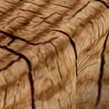 wooden grain