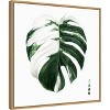Amanti Art Variegated Monstera II by Grace Popp Canvas Wall Art Print Framed 22 x 22-in. - 3 of 4