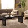 Liasonya Curved Coffee Table - COF6610 - Safavieh - 2 of 4