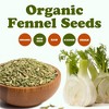 Organic Fennel Seeds - by Food To Live - 4 of 4