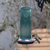 Nature's Way Bird Products Teal Antique Glass Hummingbird Glass Feeder 28oz - 3 of 4