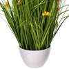 Vickerman Artificial Yellow Potted Artificial Cosmos and Grass - 4 of 4