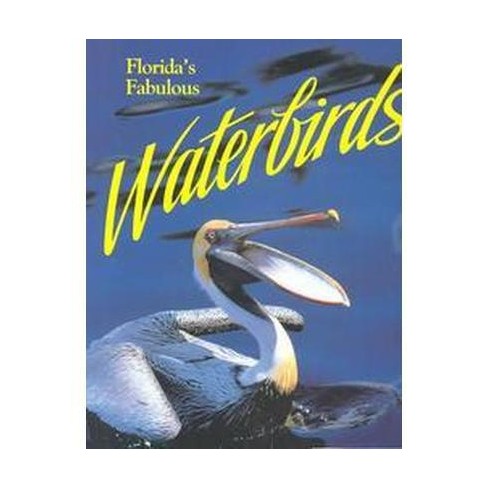 Floridas Fabulous Waterbirds Their Stories Paperback Winston Williams - 