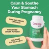 Conceive Plus Morning Sickness Relief - Relief from Nausea, Motion & Stomach Discomfort During Pregnancy- 60ct - 3 of 4