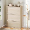 Nasitip Shoe Cabinet with Flip Drawers,Shoe Organizer Cabinet with Adjustable Shelf,Hidden Shoe Cabinet for Hallway, Living Room - 3 of 4