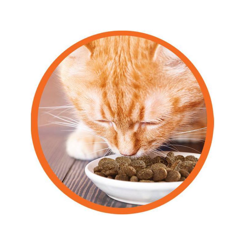 IAMS Proactive Health Hairball Care with Chicken & Salmon Adult Premium Dry Cat Food, 3 of 6