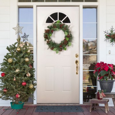 24" Pre-Lit Frosted Pine Cone and Berry Christmas Wreath
