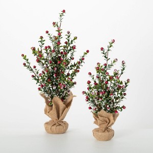 20"H & 16"H Sullivans Artificial Boxwood Berry Christmas Tree Set of 2, Green-Red, Indoor Christmas Decor - 1 of 4