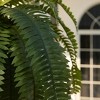 DR.Planzen Artificial Fern Plant with 33/39 leaves in 15.7"/16'' Plastic Planter (White/Coffee/Black) - Faux Indoor/Outdoor Plants Home Decor - 4 of 4