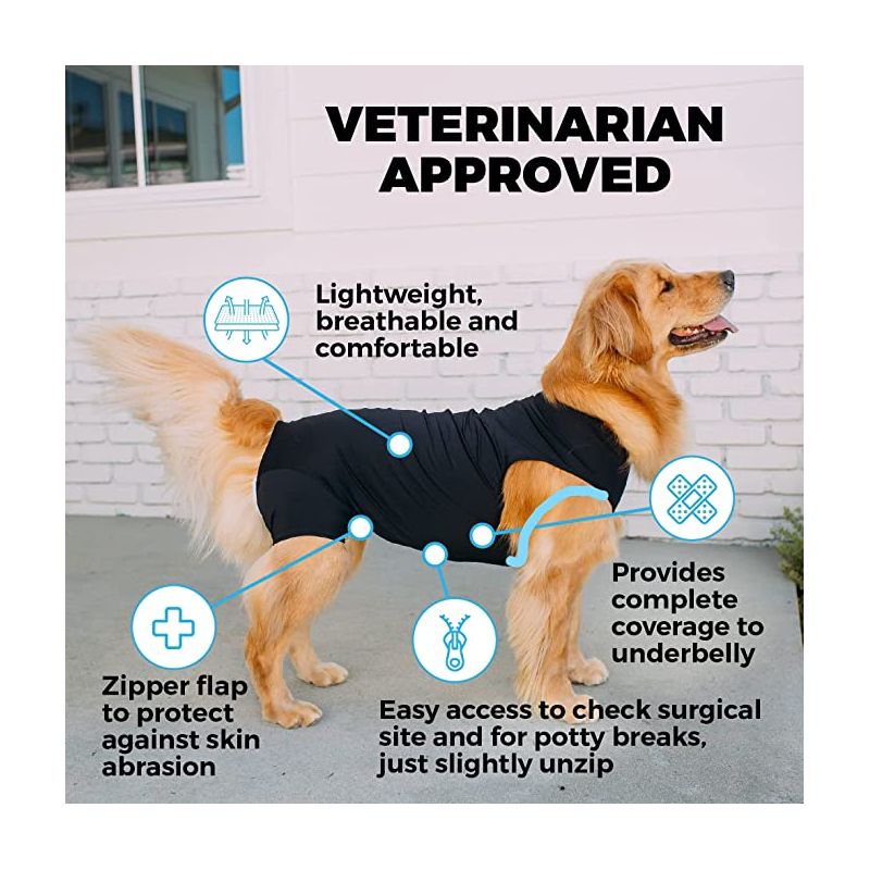 Shed Defender Recovery Suit for Dogs - Post-Surgery Dog Onesie, E-Collar Alernative, 3 of 6