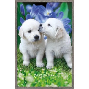 Trends International Keith Kimberlin - White Golden Retriever Puppies Framed Wall Poster Prints - 1 of 4