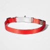 Martingale with Buckle Dog Collar - Tomato/Silver - Boots & Barkley™ - 2 of 3