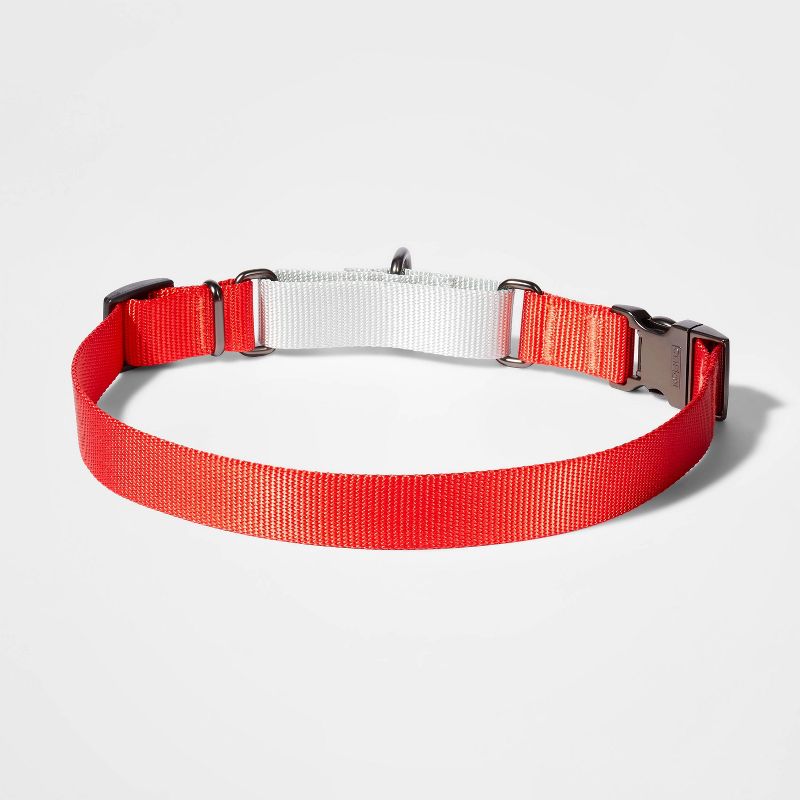 Martingale with Buckle Dog Collar - Tomato/Silver - Boots & Barkley™, 3 of 5