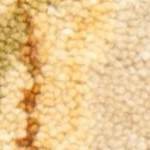 beige/light gold