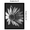 Americanflat 19x26 Picture Frame  - Black Picture Frame - Wide Photo Frames Made of Engineered Wood - Epic Collection - Black - 2 of 4