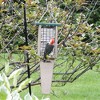 Birds Choice 2 Suet Cake Capacity Tail Prop Suet Bird Feeder 23" Taupe & Green: Weather-Resistant, No Assembly Required - 3 of 4