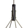 Woodbridge Lighting Bentley 4-Light G125 Metal Chandelier in Brass/Black - image 2 of 2