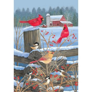 Briarwood Lane House Flag 40x28 For Outdoor Birds of Winter Cardinals House Flag Flag For Winter House Flag - 1 of 4