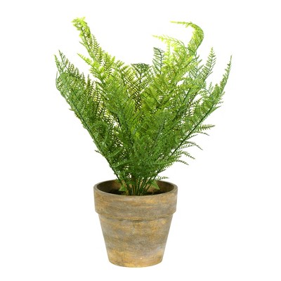 Vickerman 19" Artificial Green Lace Fern Bush in Container.