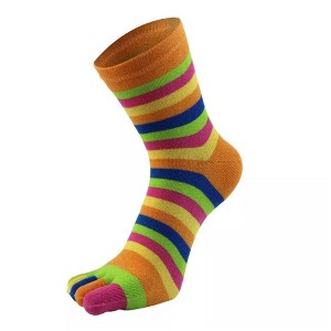 Rainbow Striped Pattern Toe Socks from the Sock Panda (Women's Sizes, Adult Medium) - 1 of 3