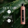 Nick Stenson Beauty Light Hold Hairspray - Daily Styling & Buildable Hold - 3 of 4
