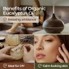 Gya Labs Organic Eucalyptus Essential Oil Eucalyptus Oil Natural Aromatherapy 0.34 Fl Oz - 3 of 4