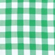vivid green check