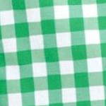 vivid green check
