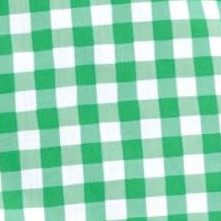 vivid green check