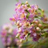 Sullivans Artificial Purple & Green Hydrangea Bush 15"H; Purple - 2 of 2