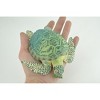 Green Sea Turtle, Museum Quality, Hand Painted, Rubber Reptile, Realistic, Model, Replica, Toy, Kids, Gift,  6 1/2 Inches.  CH1006 BB219 - 2 of 4