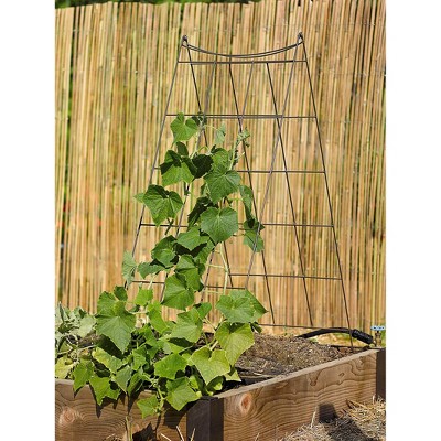 Matte Black Metal A-Frame Garden Trellis for Vining Plants