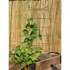 Gardeners Supply Company Wire  A-Frame Trellis | Strong and Sturdy Metal Outdoor Garden Trellis Plant Support for Cucumbers, Squash, Vine Herbs & - 2 of 2
