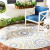 Veranda VER091 Power Loomed Indoor/Outdoor Rugs - Safavieh - 2 of 4
