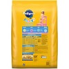 Pedigree Chicken, Rice and Vegetable Flavor Puppy Dry Dog Food - 2 of 4