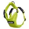 Voyager Step-In Lock Adjustable Dog & Cat Harness and 5ft Leash Combo - image 3 of 4