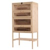 PawHut 5-Tier Wooden Hamster Cage Mice Habitat Rat Habitat with Openable Top, Front Door and Storage Shelf - 4 of 4