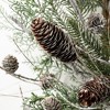 Sullivans Set of 2 Artificial Cedar and Pine Wreath 24"H Green - 3 of 4
