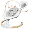 Jool Baby Nova Nature Baby Swing - Brown/White - 2 of 4