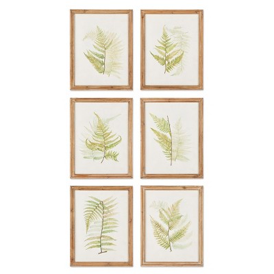 Plum & Post Framed Fern Study, Set Of 6