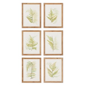 Plum & Post Framed Fern Study, Set Of 6 - 1 of 3